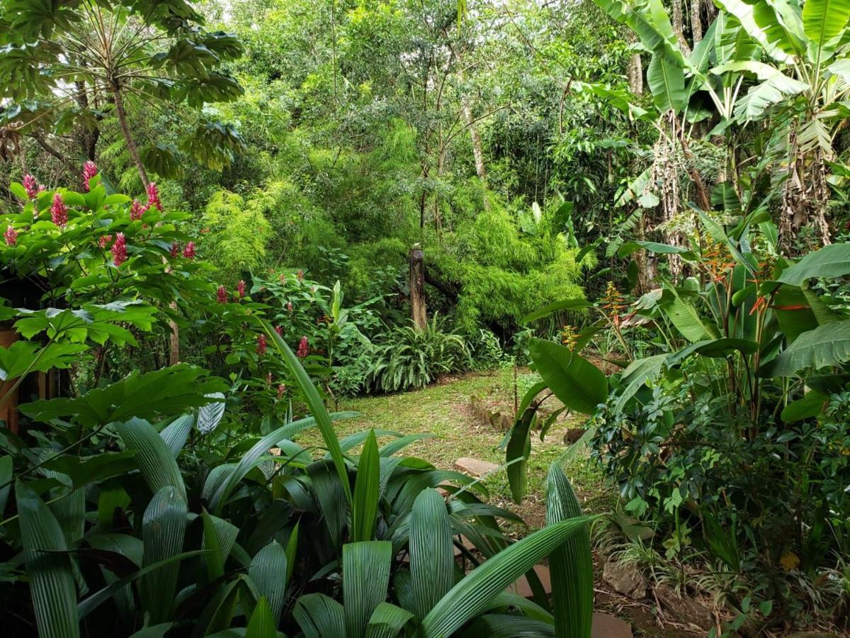 A Arte De Bem Viver Tiradentes Bagian luar foto